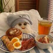 ヒメ日記 2025/03/15 20:53 投稿 ねこ・SP やまとなでしこ桜組