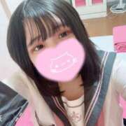 ヒメ日記 2025/04/08 07:21 投稿 ねこ・SP やまとなでしこ桜組