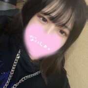 ヒメ日記 2025/04/18 06:58 投稿 ねこ・SP やまとなでしこ桜組