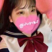 ヒメ日記 2025/05/01 15:45 投稿 ねこ・SP やまとなでしこ桜組