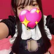 ヒメ日記 2025/05/03 14:40 投稿 ねこ・SP やまとなでしこ桜組