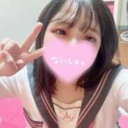 ヒメ日記 2025/05/04 06:47 投稿 ねこ・SP やまとなでしこ桜組