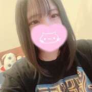 ヒメ日記 2025/05/16 09:22 投稿 ねこ・SP やまとなでしこ桜組