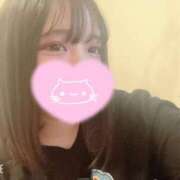 ヒメ日記 2025/05/27 08:45 投稿 ねこ・SP やまとなでしこ桜組