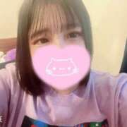 ヒメ日記 2025/06/28 06:54 投稿 ねこ・SP やまとなでしこ桜組