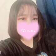 ヒメ日記 2025/07/12 06:56 投稿 ねこ・SP やまとなでしこ桜組