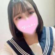 ヒメ日記 2025/07/19 06:42 投稿 ねこ・SP やまとなでしこ桜組