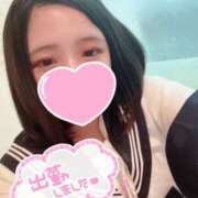 ヒメ日記 2025/08/10 07:09 投稿 ねこ・SP やまとなでしこ桜組