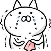 ヒメ日記 2025/10/14 06:12 投稿 ねこ・SP やまとなでしこ桜組