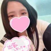 ヒメ日記 2025/10/25 07:36 投稿 ねこ・SP やまとなでしこ桜組