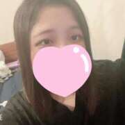 ヒメ日記 2025/11/02 05:12 投稿 ねこ・SP やまとなでしこ桜組