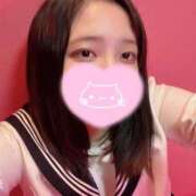 ヒメ日記 2025/12/07 09:32 投稿 ねこ・SP やまとなでしこ桜組