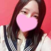 ヒメ日記 2025/12/16 07:15 投稿 ねこ・SP やまとなでしこ桜組