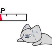 ヒメ日記 2025/12/20 05:17 投稿 ねこ・SP やまとなでしこ桜組