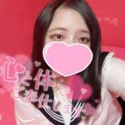 ヒメ日記 2026/01/02 06:59 投稿 ねこ・SP やまとなでしこ桜組