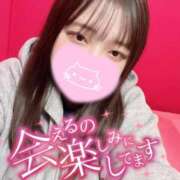 ねこ・SP おはにゃん😻 やまとなでしこ桜組