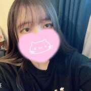 ねこ・SP 昼から❣️ やまとなでしこ桜組