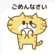 ねこ・SP ごめんなさい💦 やまとなでしこ桜組