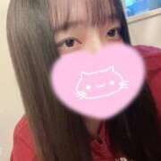 ヒメ日記 2026/04/14 06:49 投稿 ねこ・SP やまとなでしこ桜組