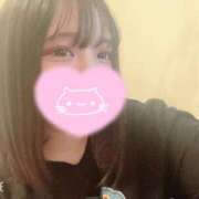 ヒメ日記 2026/04/15 09:04 投稿 ねこ・SP やまとなでしこ桜組
