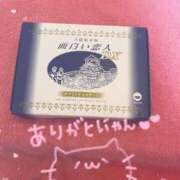 ヒメ日記 2026/04/16 16:20 投稿 ねこ・SP やまとなでしこ桜組