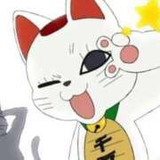 ヒメ日記 2026/04/24 07:00 投稿 ねこ・SP やまとなでしこ桜組