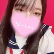 ねこ・SP おはよん☀️ やまとなでしこ桜組