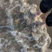 ヒメ日記 2025/03/25 14:20 投稿 平井すみれ 一夜妻