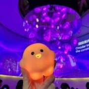 ヒメ日記 2025/06/09 10:19 投稿 平井すみれ 一夜妻