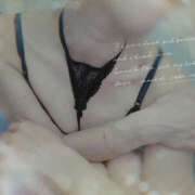 ヒメ日記 2025/08/24 12:23 投稿 平井すみれ 一夜妻