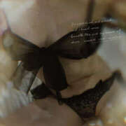 平井すみれ ﾂﾙｽﾍﾞを体感せよ⚡️ 一夜妻