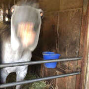 ヒメ日記 2026/01/03 00:39 投稿 平井すみれ 一夜妻