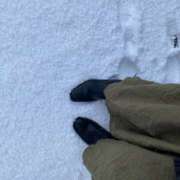 ヒメ日記 2026/02/16 15:59 投稿 平井すみれ 一夜妻