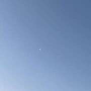 ヒメ日記 2026/02/19 23:59 投稿 平井すみれ 一夜妻