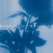 ヒメ日記 2026/02/24 11:09 投稿 平井すみれ 一夜妻