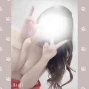 ヒメ日記 2025/03/13 21:07 投稿 つばき 和風ぱみゅぱみゅ総本舗