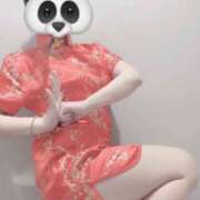 ヒメ日記 2025/04/26 21:31 投稿 つばき 和風ぱみゅぱみゅ総本舗