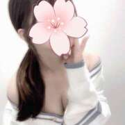 ヒメ日記 2025/06/09 00:29 投稿 つばき 和風ぱみゅぱみゅ総本舗