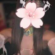 ヒメ日記 2025/11/04 20:12 投稿 つばき 和風ぱみゅぱみゅ総本舗