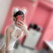 ヒメ日記 2025/12/05 20:41 投稿 つばき 和風ぱみゅぱみゅ総本舗