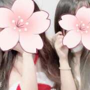 つばき ※無題 和風ぱみゅぱみゅ総本舗