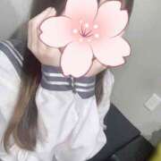 ヒメ日記 2026/02/08 20:55 投稿 つばき 和風ぱみゅぱみゅ総本舗