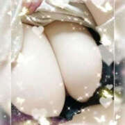 ヒメ日記 2025/07/27 13:18 投稿 ちむ メガ豚