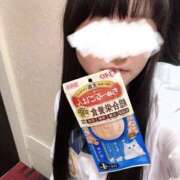 ヒメ日記 2025/02/20 22:05 投稿 りんか 萌えコス