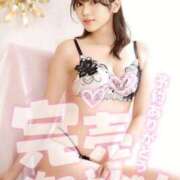 ヒメ日記 2025/02/01 00:30 投稿 せいら G-SPOT 土浦店