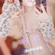 ヒメ日記 2025/04/16 12:10 投稿 つばさ 性の極み 技の伝道師　五反田店