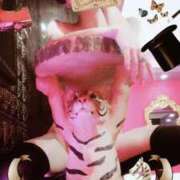 ヒメ日記 2025/12/02 18:18 投稿 つばさ 性の極み 技の伝道師　五反田店