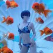 ヒメ日記 2026/02/12 19:08 投稿 つばさ 性の極み 技の伝道師　五反田店