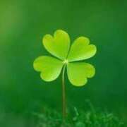 ヒメ日記 2025/08/06 09:56 投稿 牧瀬 熟女の風俗最終章 新横浜店