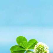 ヒメ日記 2025/09/06 11:00 投稿 牧瀬 熟女の風俗最終章 新横浜店